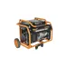 Бензиновый генератор CARVER PPG-3600AM